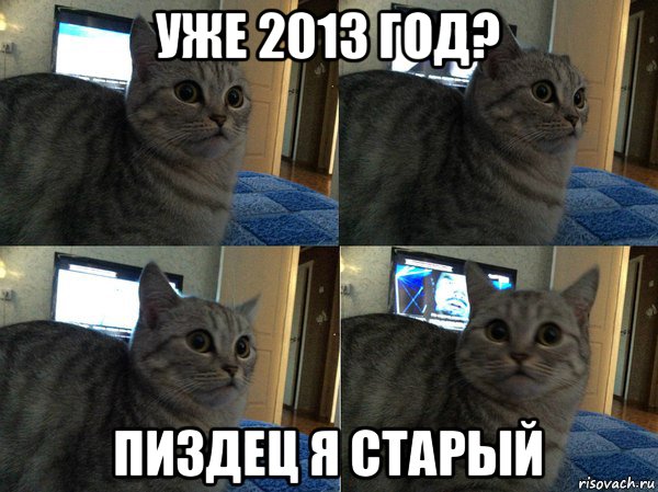 уже 2013 год? пиздец я старый, Мем  Кот в шоке