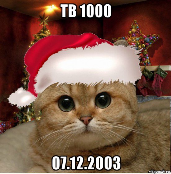 тв 1000 07.12.2003, Мем Котенька