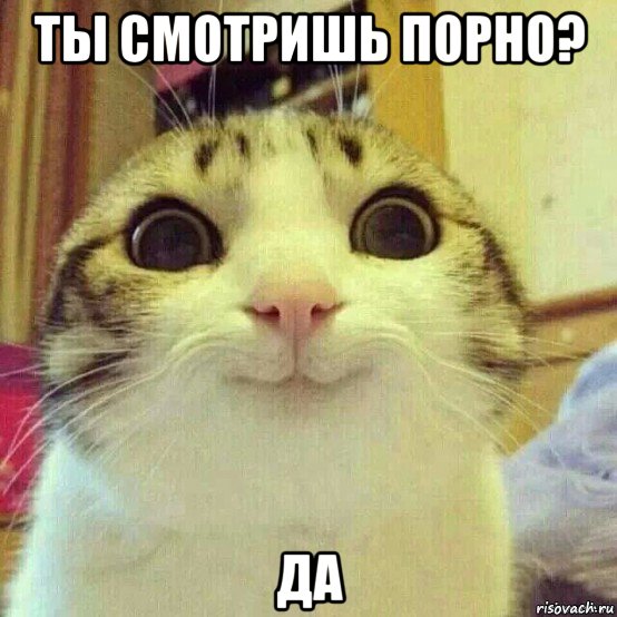 ты смотришь порно? да