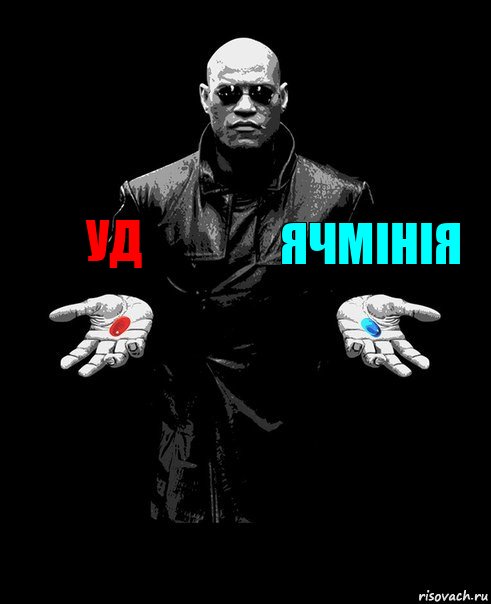 УД Ячмінія , Комикс Выбор