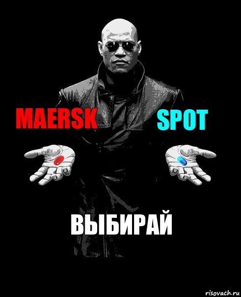 Maersk spot выбирай, Комикс Выбор