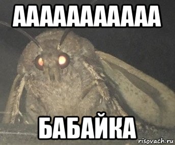 ааааааааааа бабайка