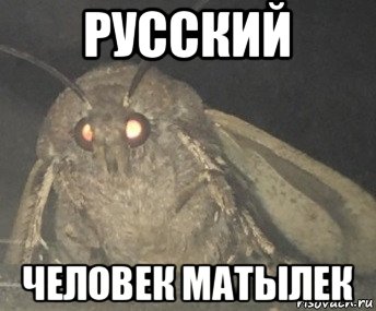 русский человек матылек, Мем Матылёк