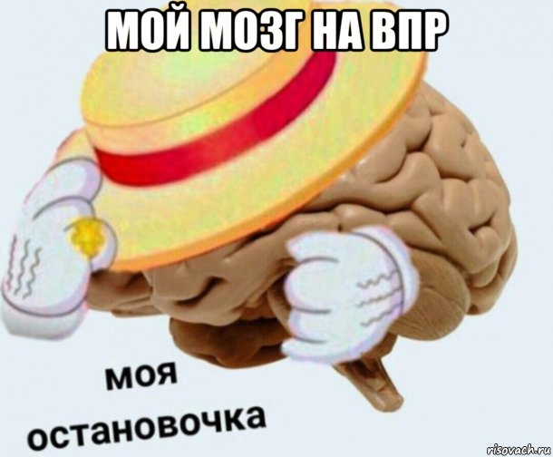 мой мозг на впр , Мем   Моя остановочка мозг