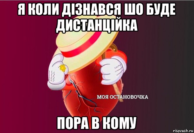 я коли дізнався шо буде дистанційка пора в кому, Мем   Моя остановочка