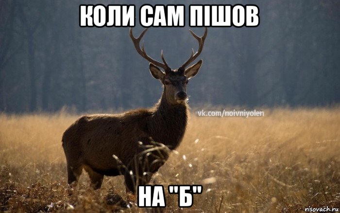 коли сам пішов на "б"