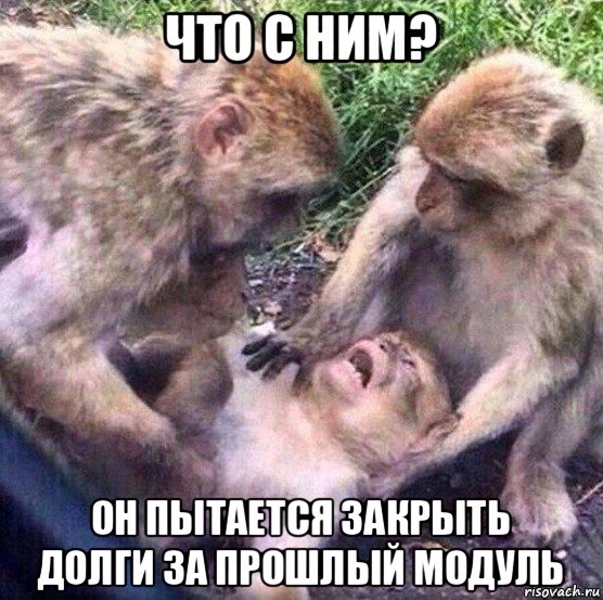 что с ним? он пытается закрыть долги за прошлый модуль