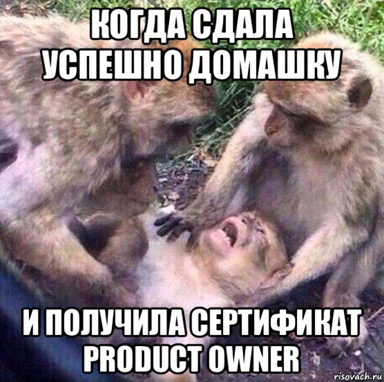 когда сдала успешно домашку и получила сертификат product owner