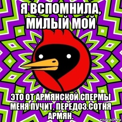 я вспомнила, милый мой это от армянской спермы меня пучит. передоз.сотня армян., Мем Омская птица