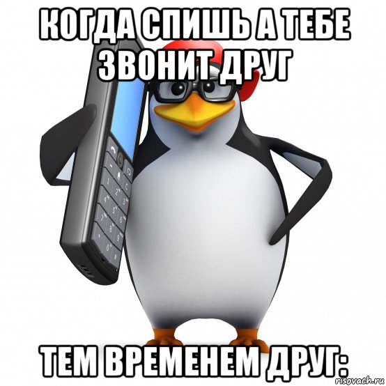 когда спишь а тебе звонит друг тем временем друг:, Мем   Пингвин звонит