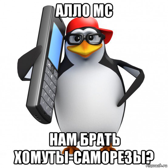 алло мс нам брать хомуты-саморезы?, Мем   Пингвин звонит