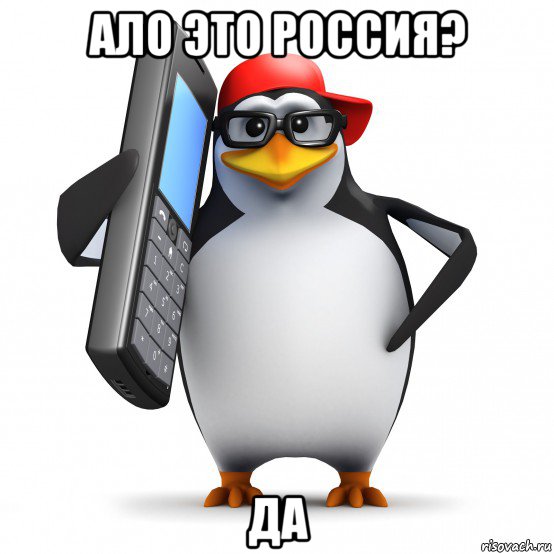 ало это россия? да, Мем   Пингвин звонит