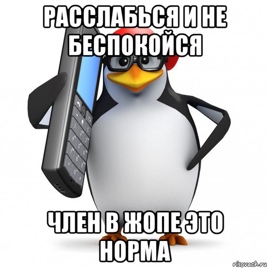 расслабься и не беспокойся член в жопе это норма, Мем   Пингвин звонит