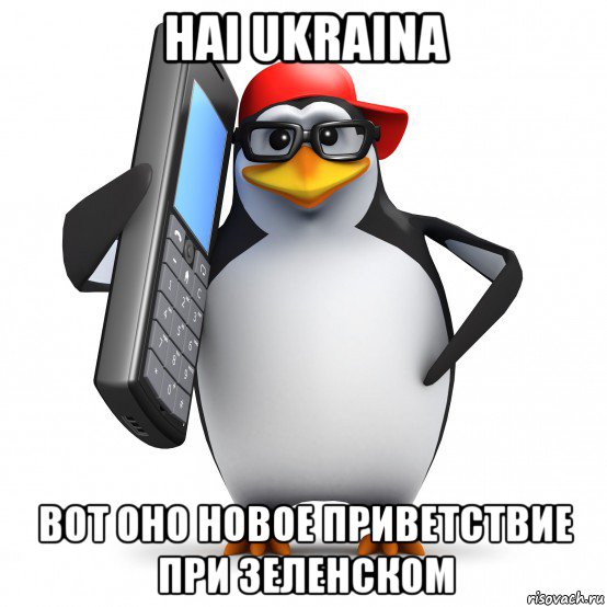 hai ukraina вот оно новое приветствие при зеленском, Мем   Пингвин звонит