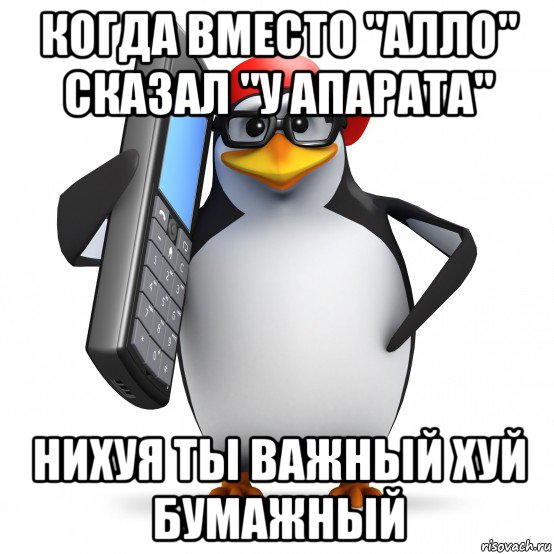 когда вместо "алло" сказал "у апарата" нихуя ты важный хуй бумажный, Мем   Пингвин звонит