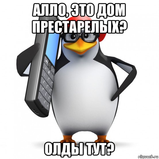 алло, это дом престарелых? олды тут?, Мем   Пингвин звонит