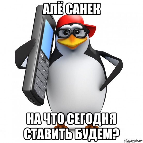 алё санек на что сегодня ставить будем?, Мем   Пингвин звонит