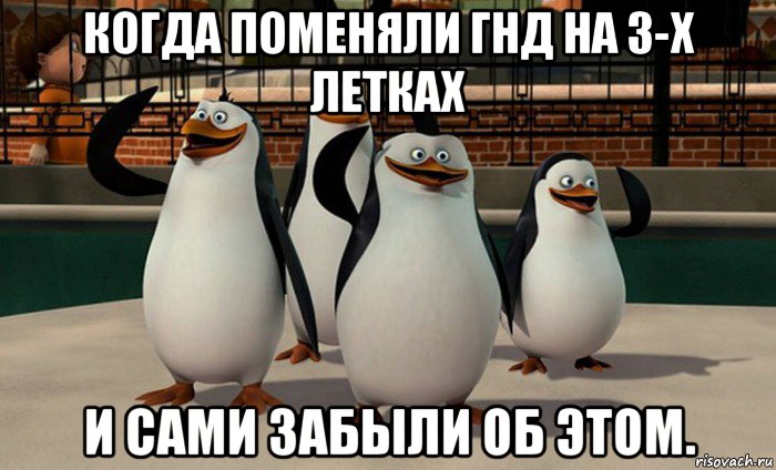 когда поменяли гнд на 3-х летках и сами забыли об этом., Мем  пингвины Мадагаскара