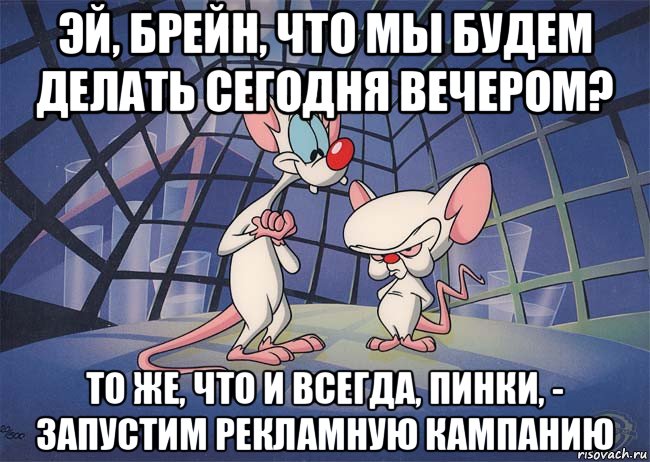 эй, брейн, что мы будем делать сегодня вечером? то же, что и всегда, пинки, - запустим рекламную кампанию