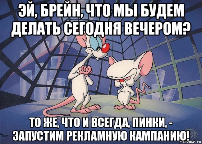 эй, брейн, что мы будем делать сегодня вечером? то же, что и всегда, пинки, - запустим рекламную кампанию!