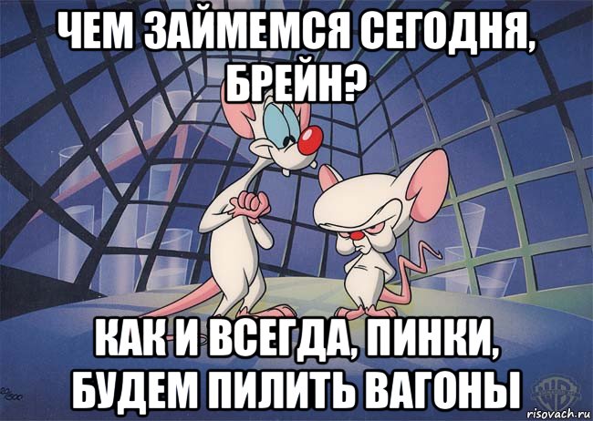 чем займемся сегодня, брейн? как и всегда, пинки, будем пилить вагоны, Мем ПИНКИ И БРЕЙН