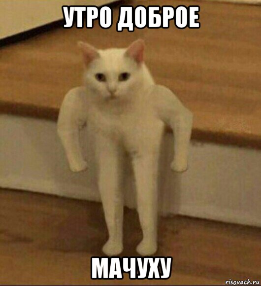 утро доброе мачуху