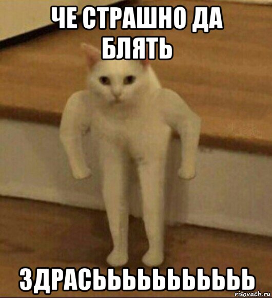 че страшно да блять здрасььььььььььь