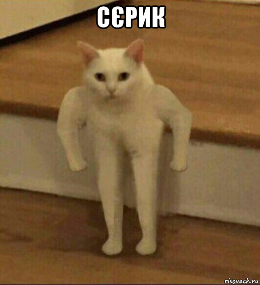 сєрик 