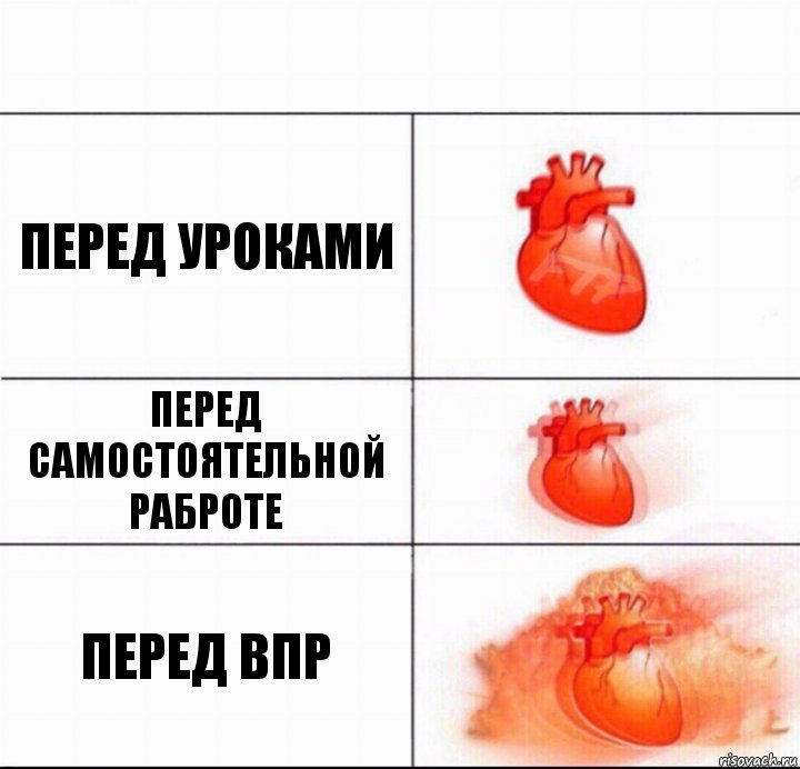 перед уроками перед самостоятельной раброте ПЕРЕД ВПР