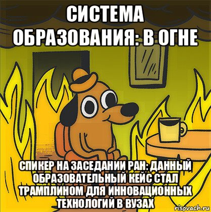 система образования: в огне спикер на заседании ран: данный образовательный кейс стал трамплином для инновационных технологий в вузах, Мем Собака в огне