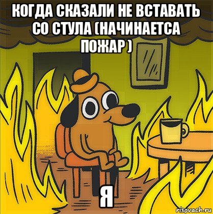 когда сказали не вставать со стула (начинаетса пожар ) я, Мем Собака в огне