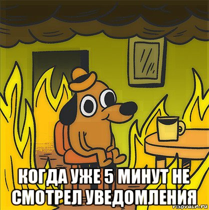  когда уже 5 минут не смотрел уведомления, Мем Собака в огне