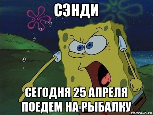 сэнди сегодня 25 апреля поедем на рыбалку, Мем Спанч боб