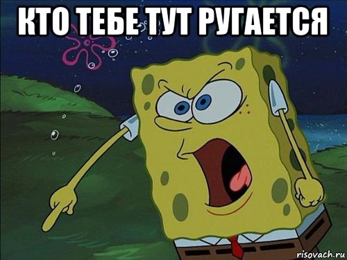 кто тебе тут ругается 