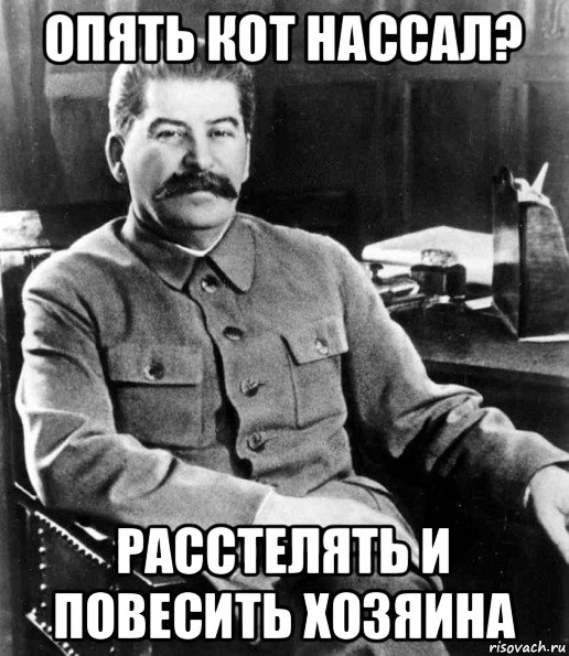 опять кот нассал? расстелять и повесить хозяина, Мем  иосиф сталин