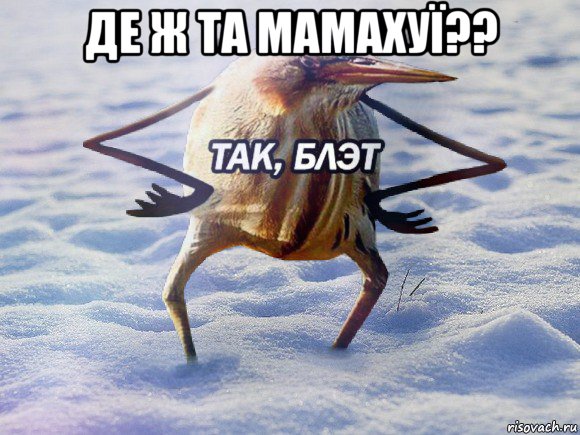 де ж та мамахуї?? , Мем  Так блэт птица с руками