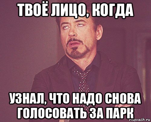 твоё лицо, когда узнал, что надо снова голосовать за парк, Мем твое выражение лица