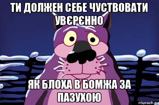 ти должен себе чуствовати увєрєнно як блоха в бомжа за пазухою, Мем Волк