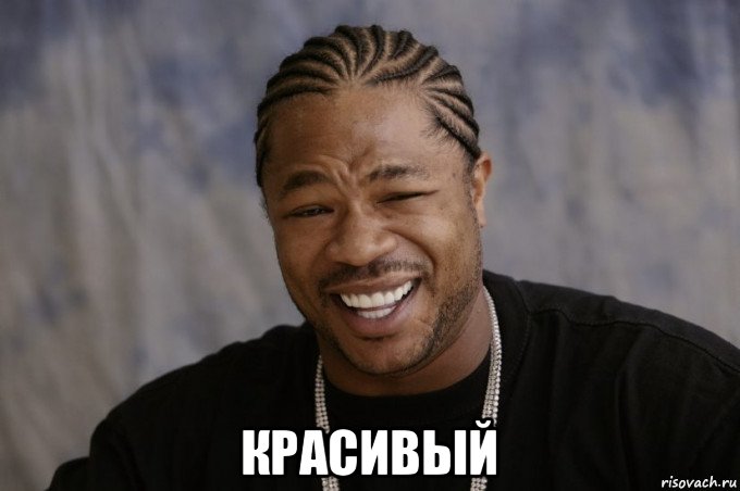  красивый, Мем Xzibit