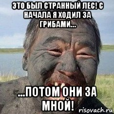 это был странный лес! с начала я ходил за грибами… ...потом они за мной!