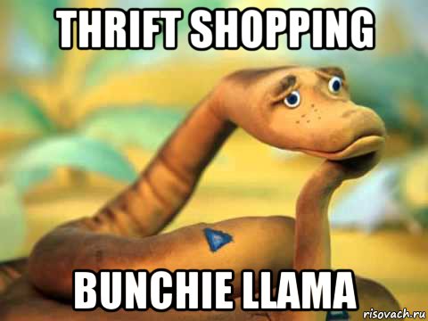 thrift shopping bunchie llama, Мем  задумчивый удав