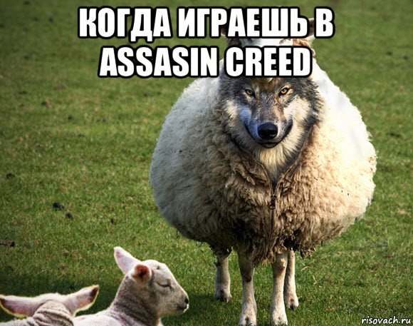 когда играешь в assasin creed 