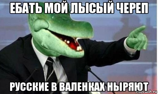 ебать мой лысый череп русские в валенках ныряют, Мем Крокодил Гена политик