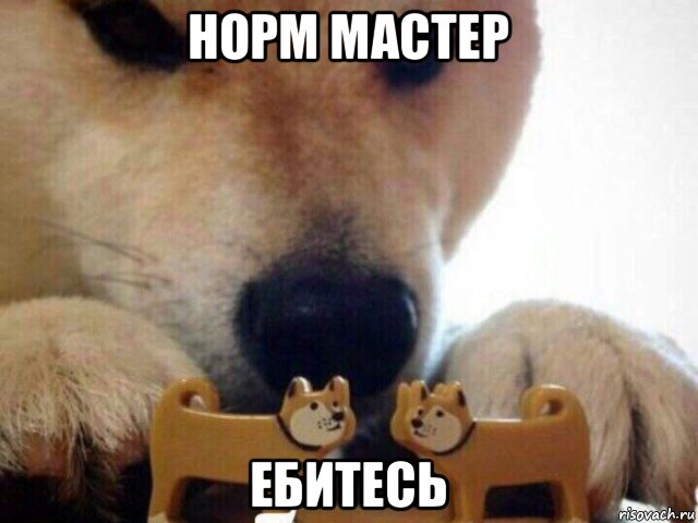 норм мастер ебитесь, Мем А теперь целуйтесь