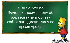 Я знаю, что по Федеральному закону об образовании я обязан соблюдать дисциплину во время урока.