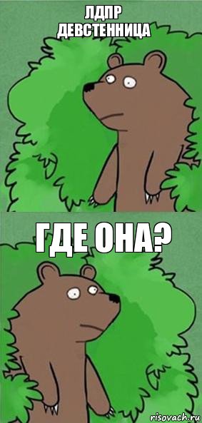 ЛДПР
девстенница Где она?