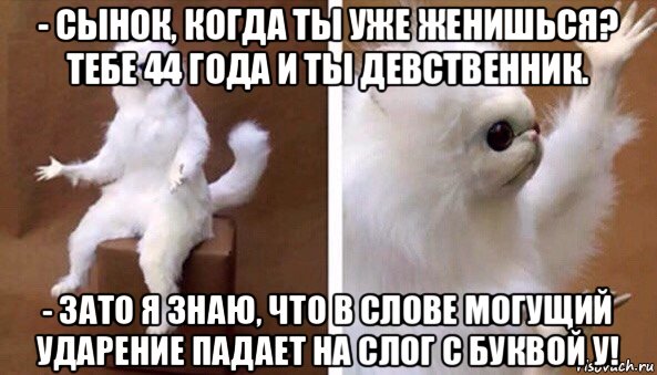 - сынок, когда ты уже женишься? тебе 44 года и ты девственник. - зато я знаю, что в слове могущий ударение падает на слог с буквой у!, Мем Чучело кота