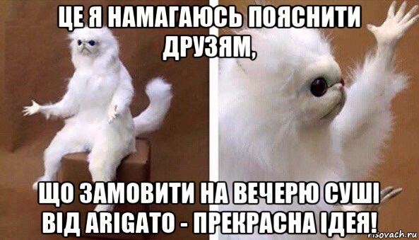 це я намагаюсь пояснити друзям, що замовити на вечерю суші від arigato - прекрасна ідея!