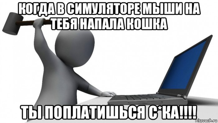 когда в симуляторе мыши на тебя напала кошка ты поплатишься с*ка!!!!, Мем ДА КТО такой