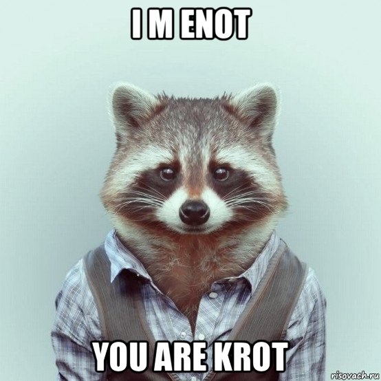 i m enot you are krot, Мем  Енот в рубашке